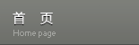 工業內窺鏡